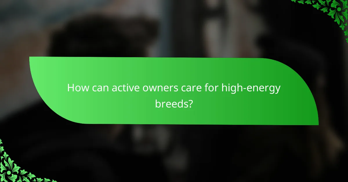How can active owners care for high-energy breeds?