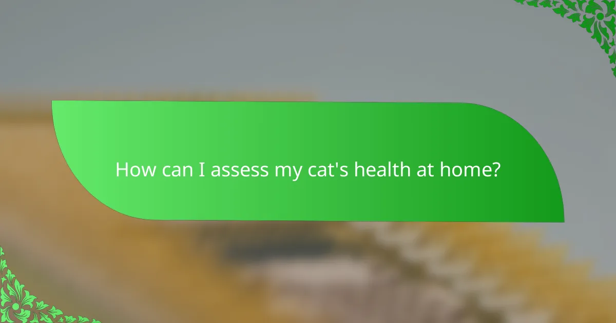 How can I assess my cat's health at home?