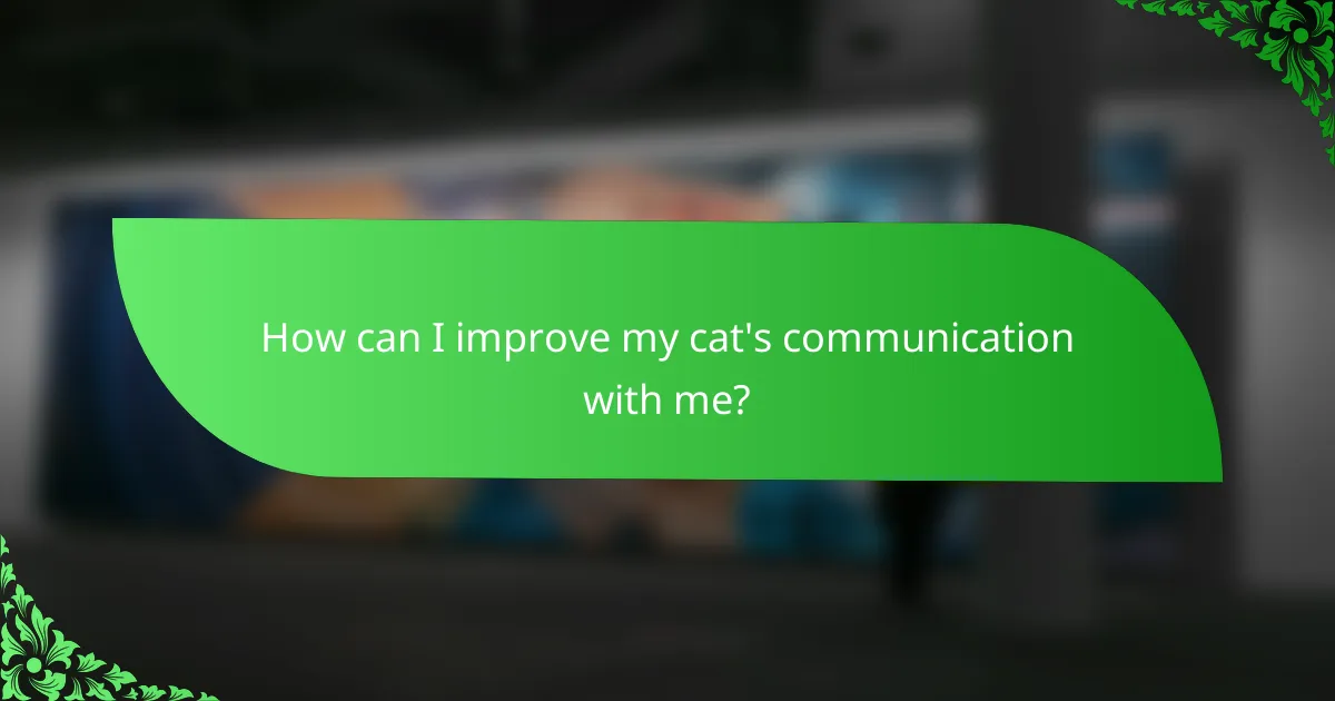 How can I improve my cat's communication with me?