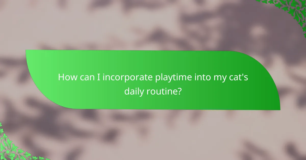 How can I incorporate playtime into my cat's daily routine?