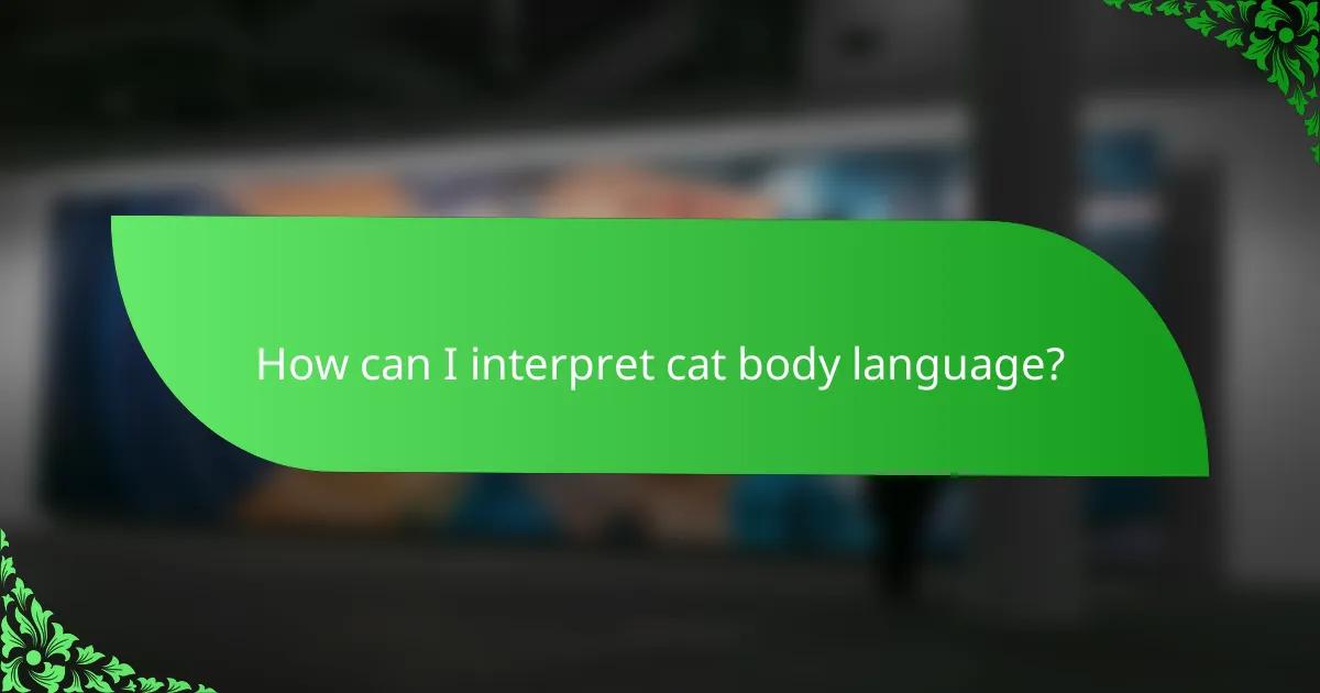 How can I interpret cat body language?