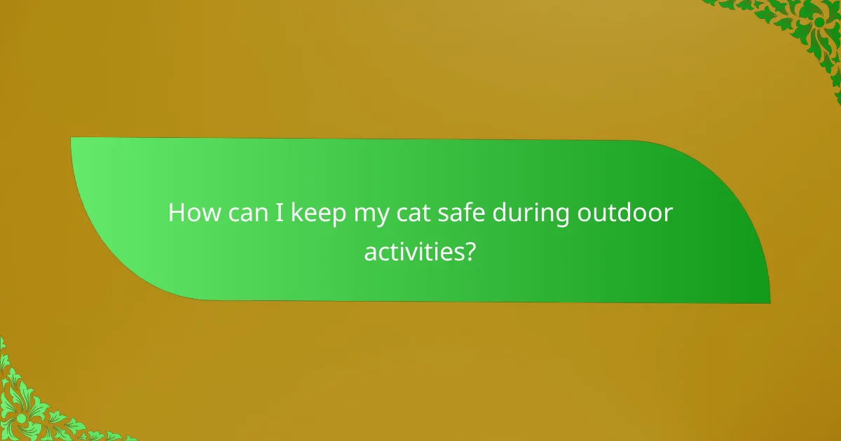 How can I keep my cat safe during outdoor activities?