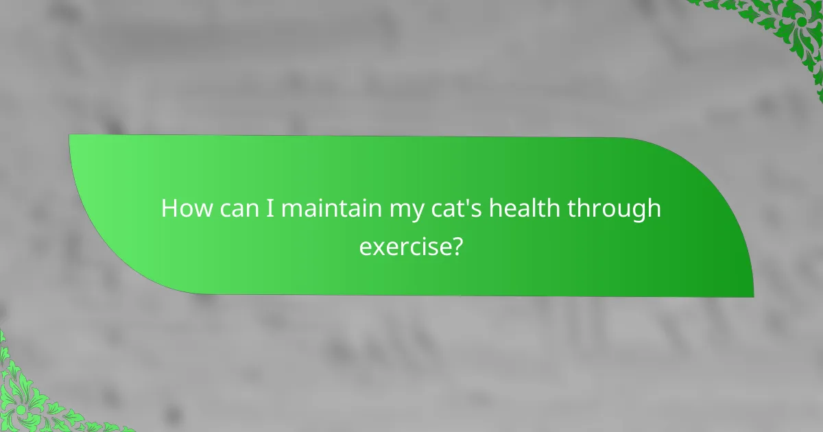 How can I maintain my cat's health through exercise?