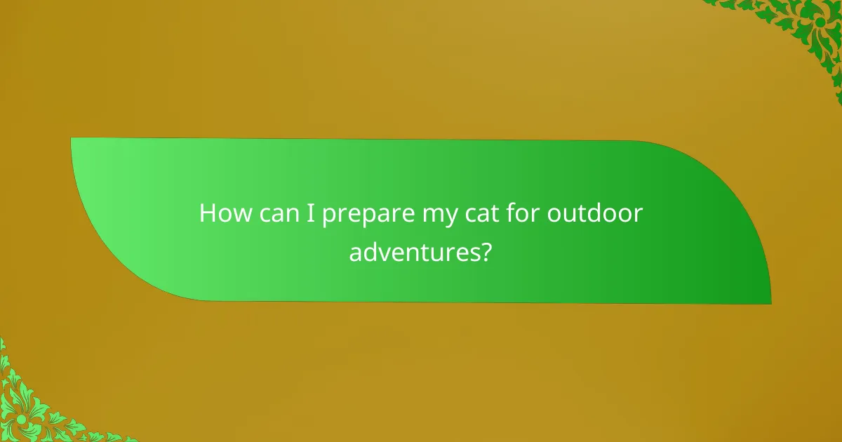 How can I prepare my cat for outdoor adventures?
