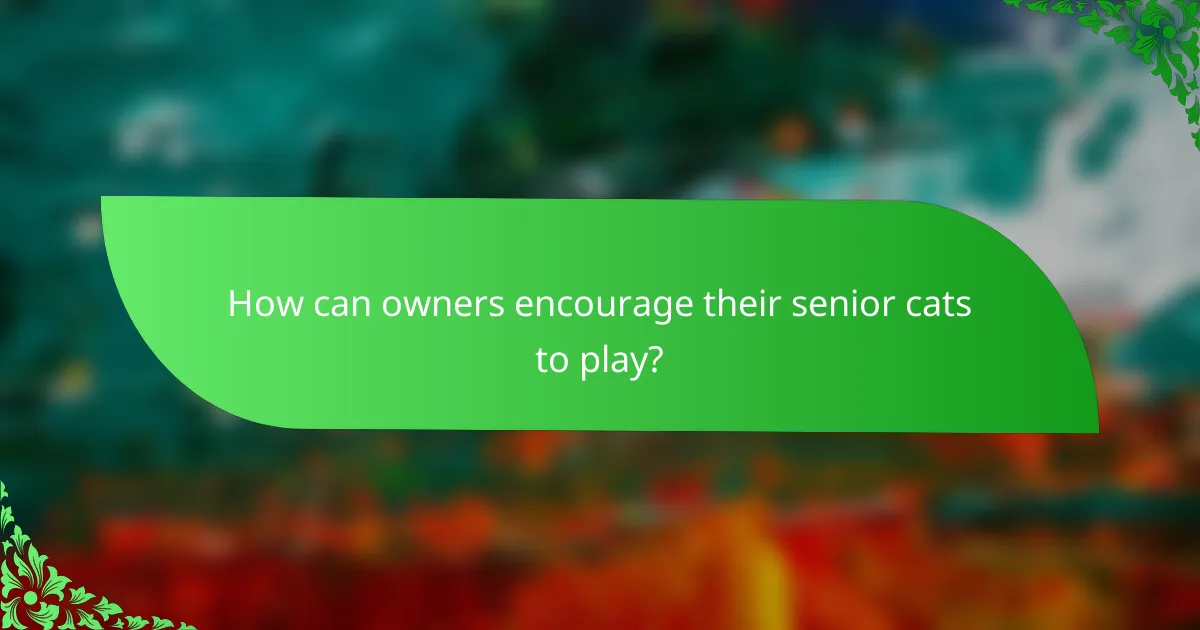 How can owners encourage their senior cats to play?