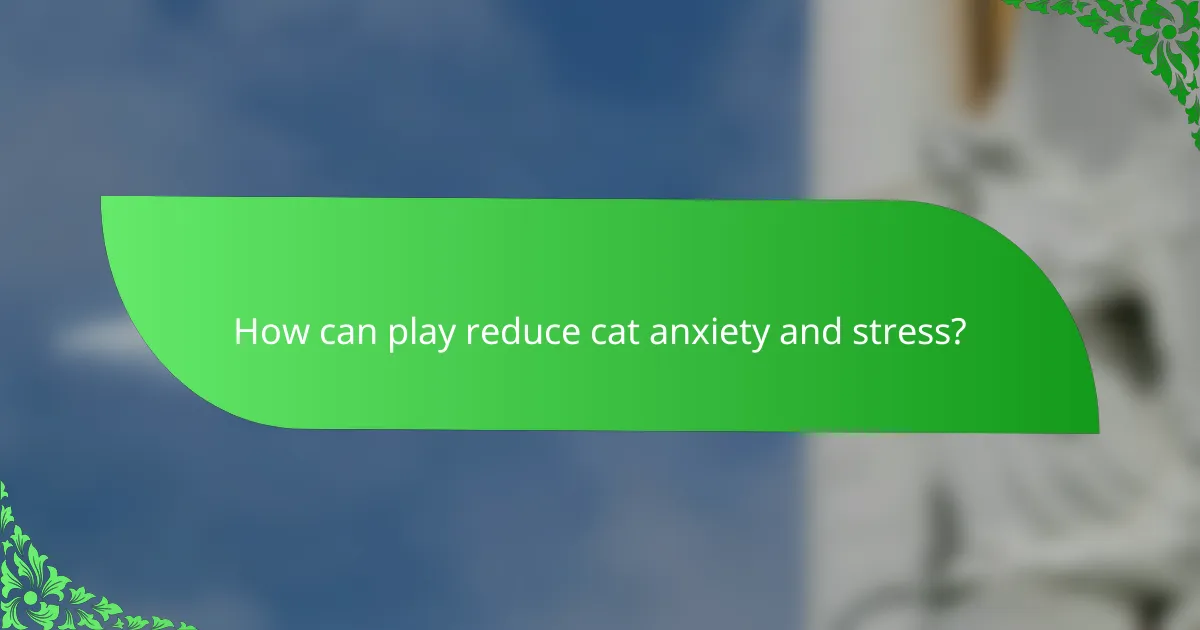 How can play reduce cat anxiety and stress?