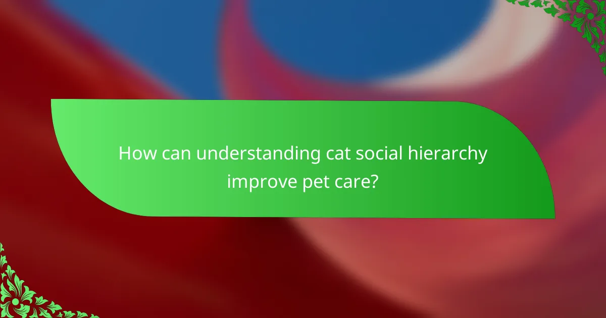 How can understanding cat social hierarchy improve pet care?