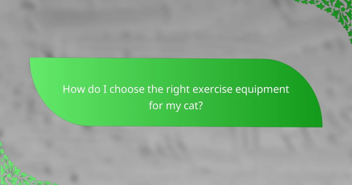 How do I choose the right exercise equipment for my cat?