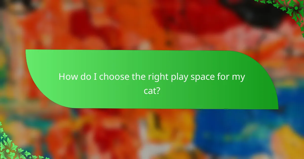 How do I choose the right play space for my cat?