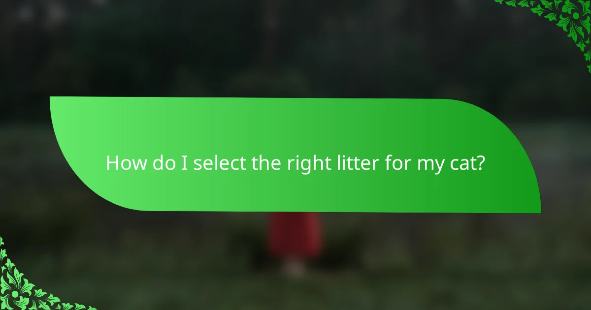 How do I select the right litter for my cat?