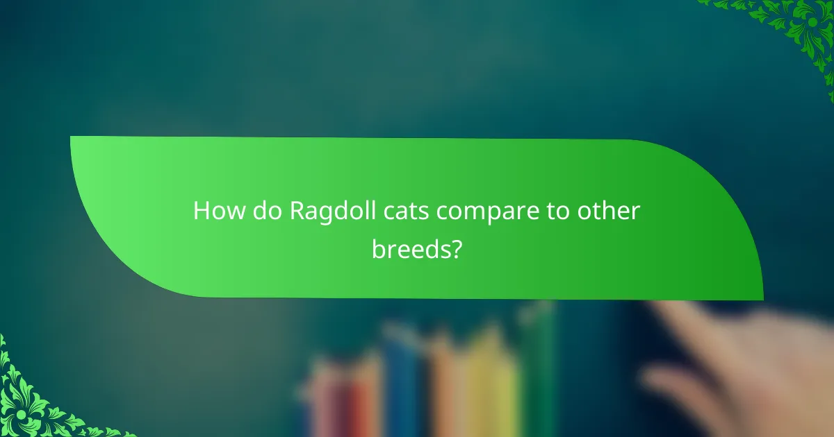 How do Ragdoll cats compare to other breeds?