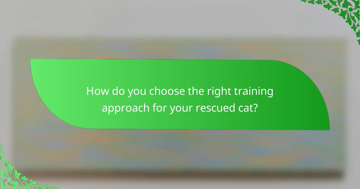 How do you choose the right training approach for your rescued cat?