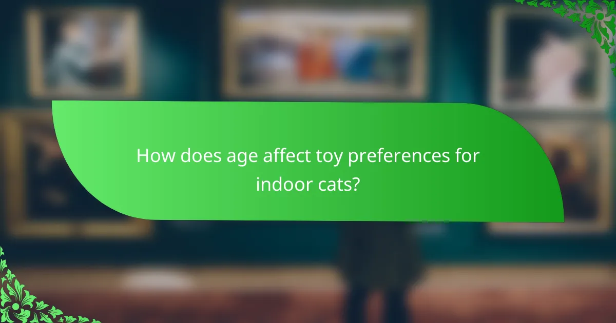 How does age affect toy preferences for indoor cats?