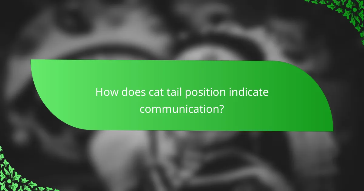 How does cat tail position indicate communication?