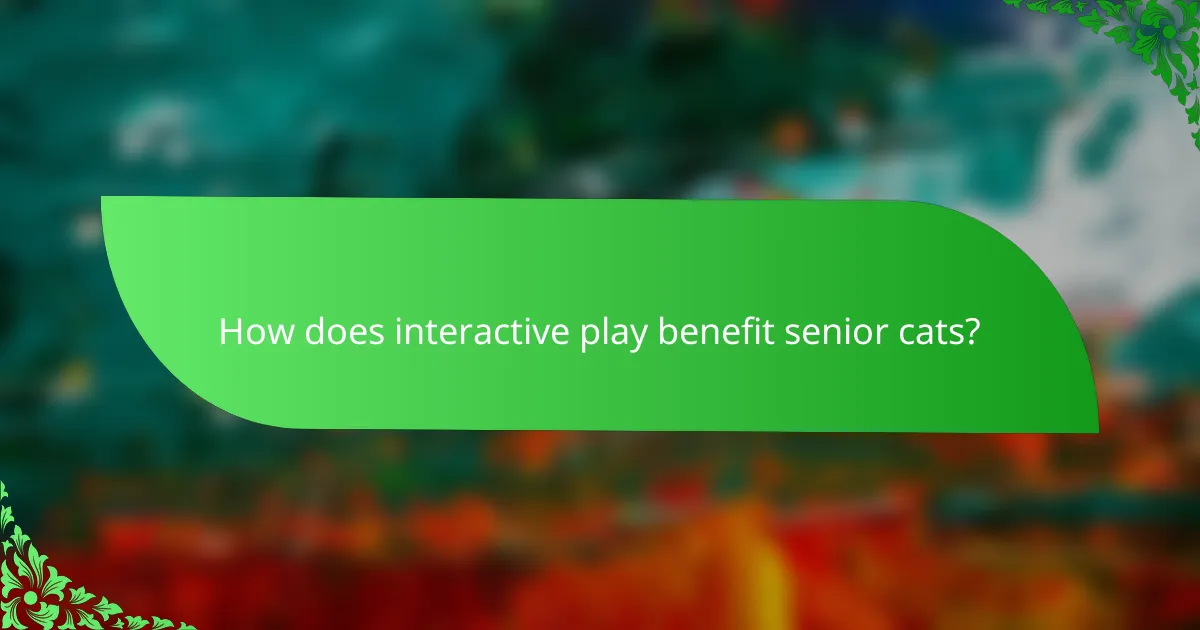 How does interactive play benefit senior cats?