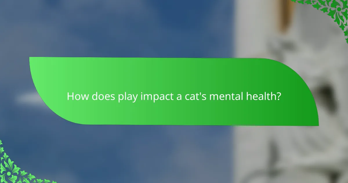 How does play impact a cat's mental health?