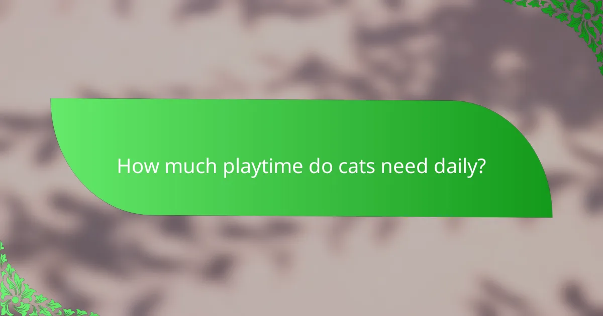 How much playtime do cats need daily?