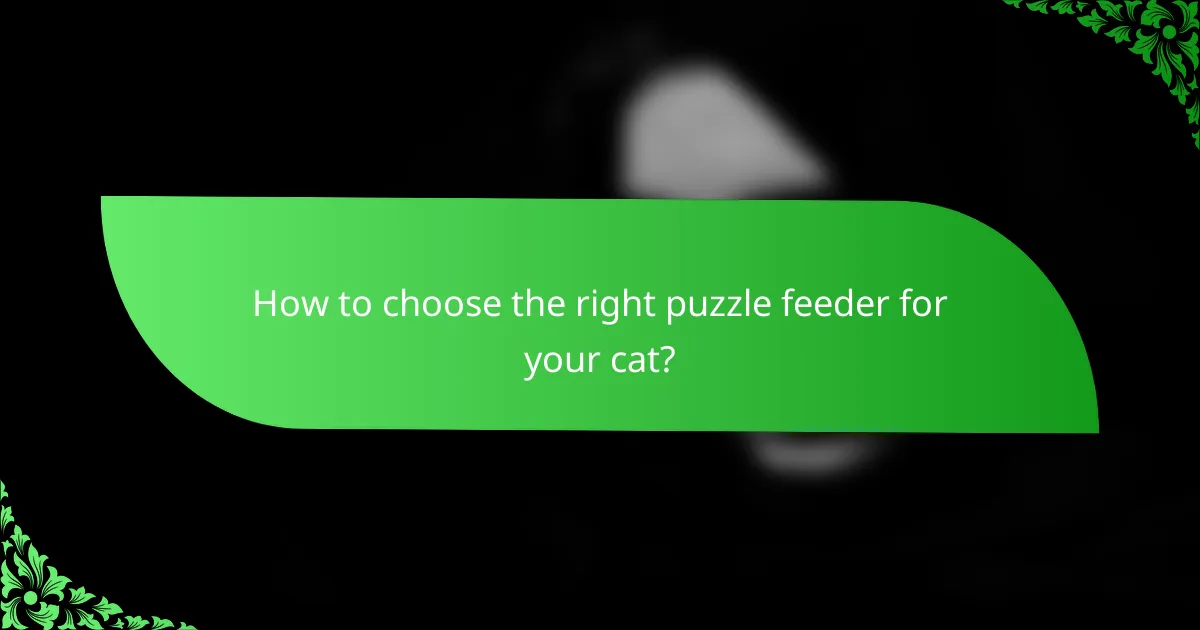 How to choose the right puzzle feeder for your cat?