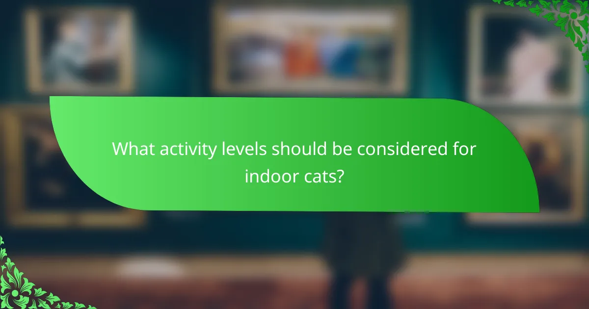 What activity levels should be considered for indoor cats?