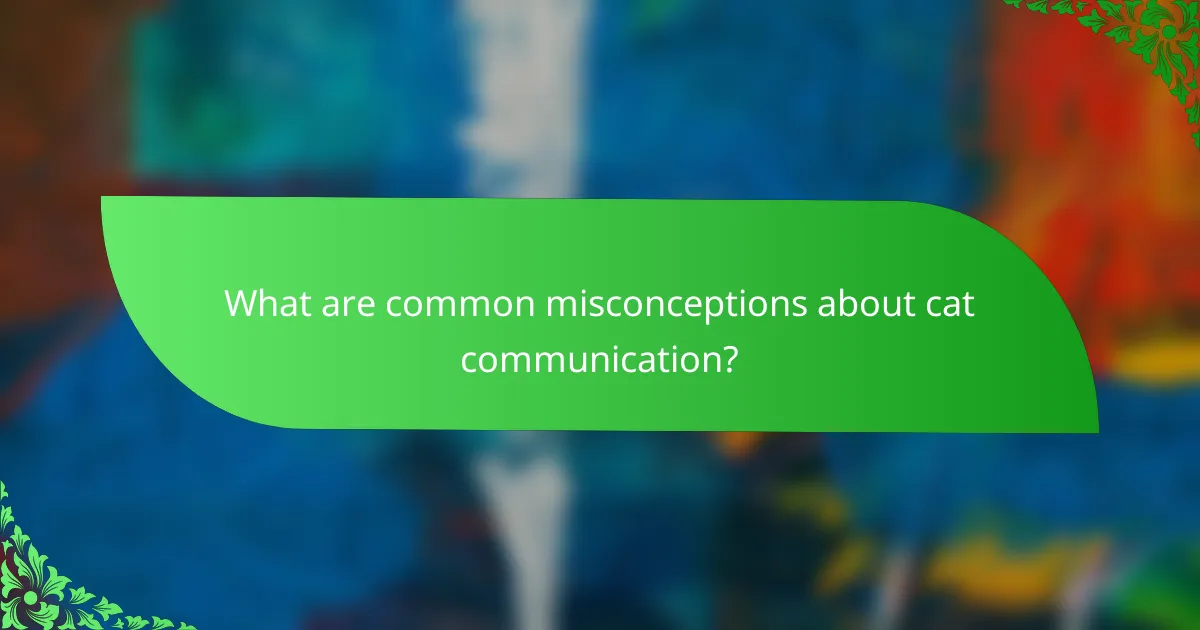 What are common misconceptions about cat communication?