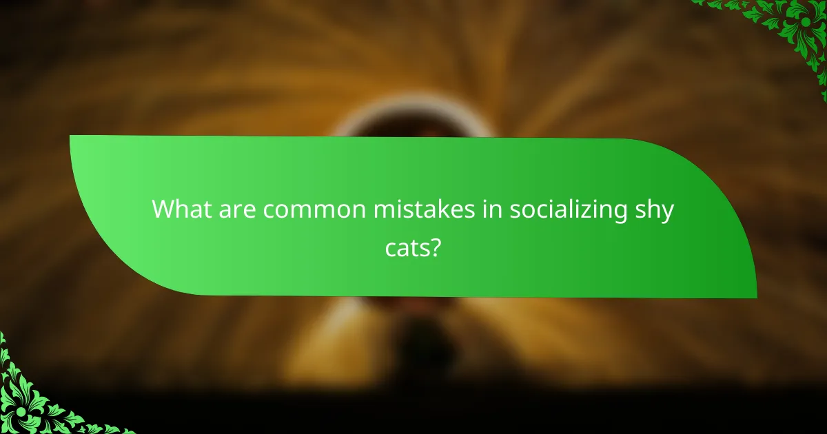 What are common mistakes in socializing shy cats?