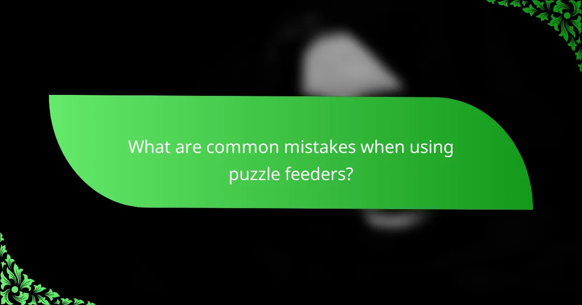 What are common mistakes when using puzzle feeders?