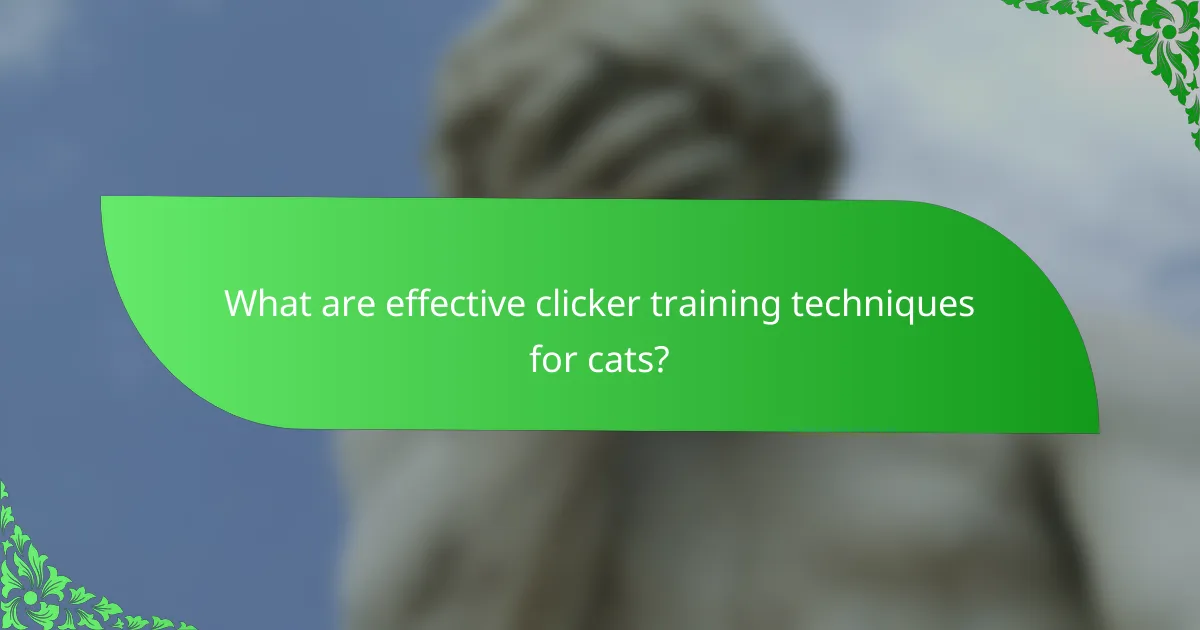 What are effective clicker training techniques for cats?