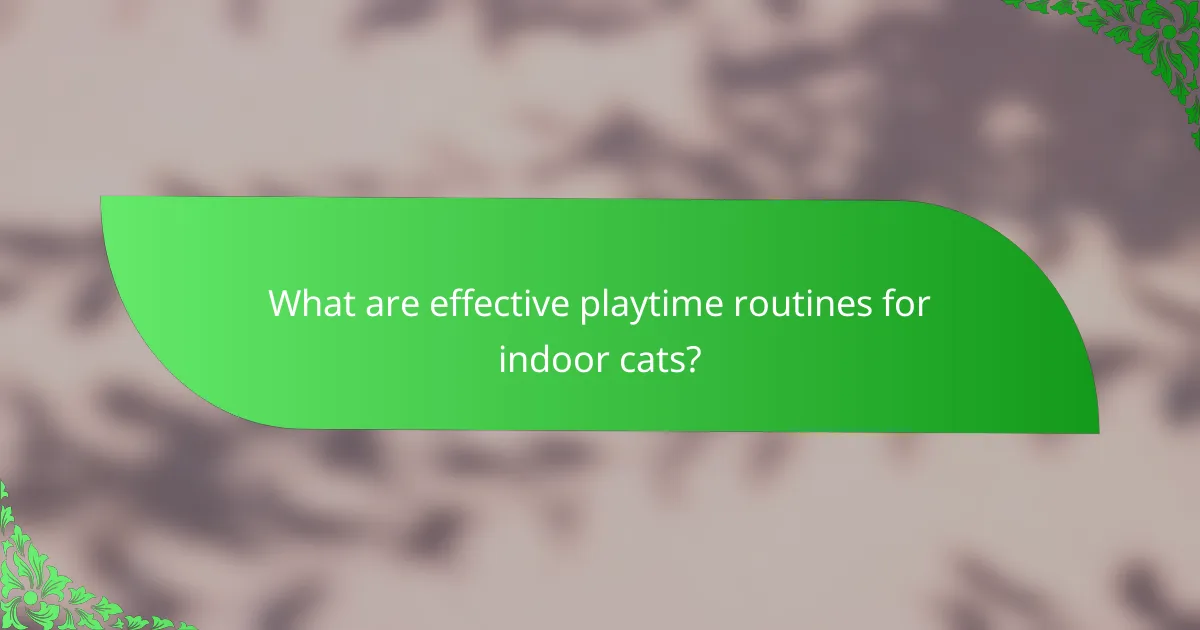 What are effective playtime routines for indoor cats?