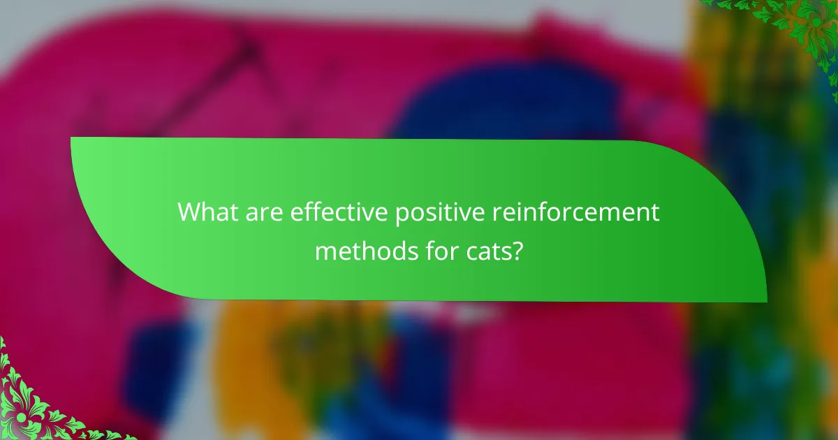 What are effective positive reinforcement methods for cats?