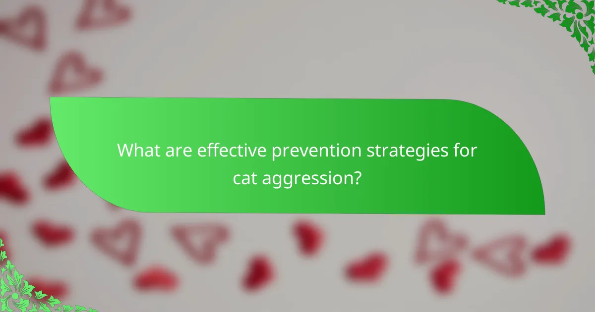 What are effective prevention strategies for cat aggression?