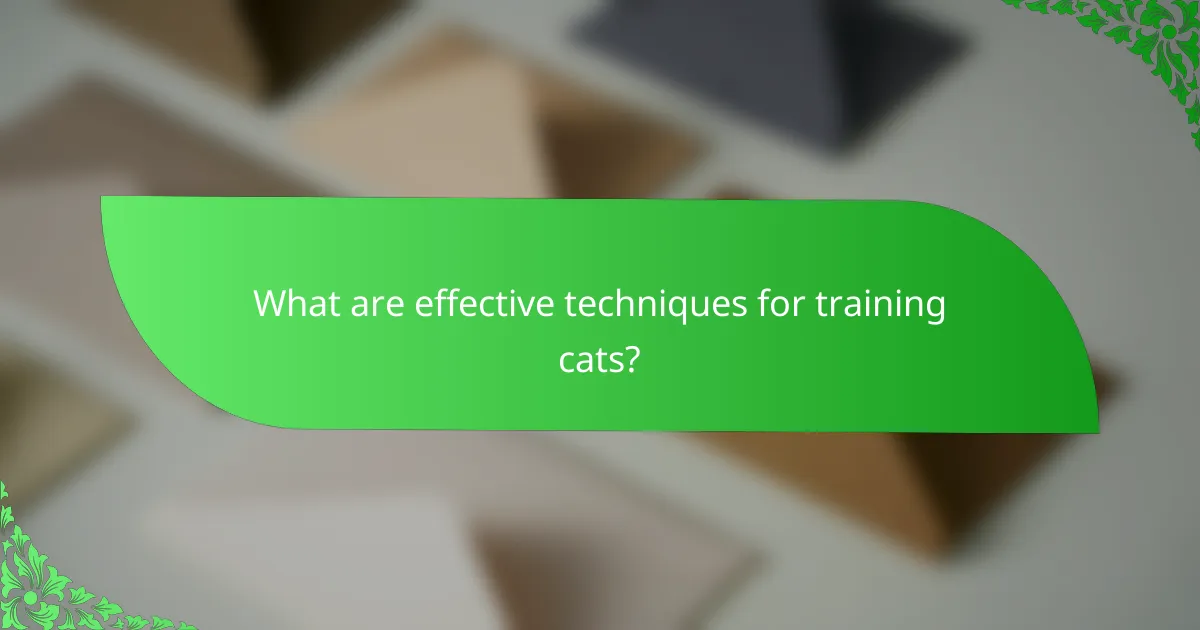 What are effective techniques for training cats?