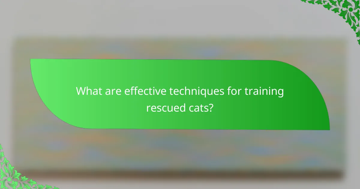 What are effective techniques for training rescued cats?