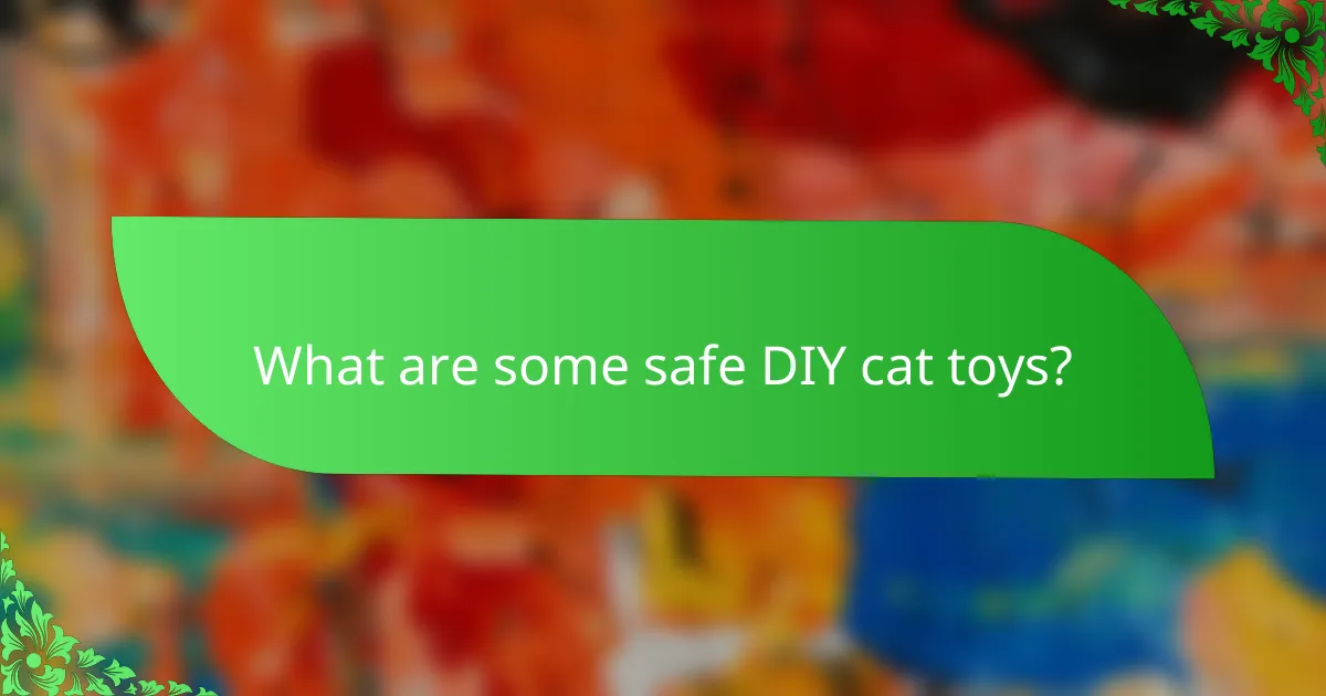 What are some safe DIY cat toys?
