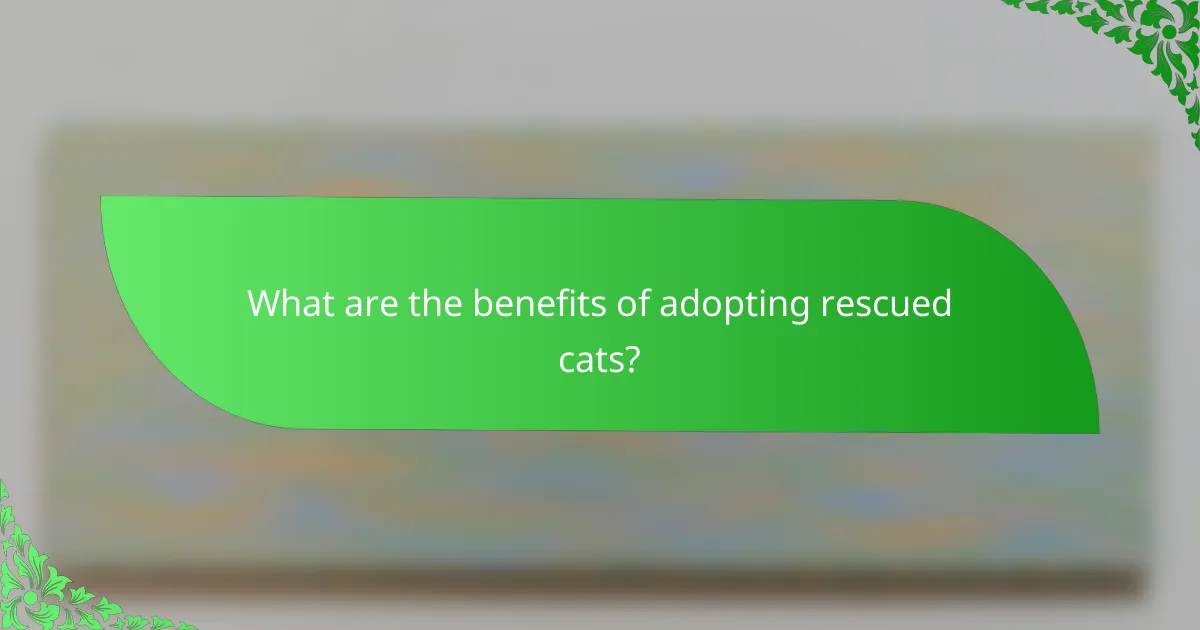 What are the benefits of adopting rescued cats?