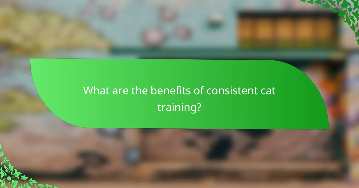 What are the benefits of consistent cat training?