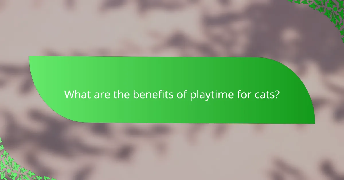 What are the benefits of playtime for cats?