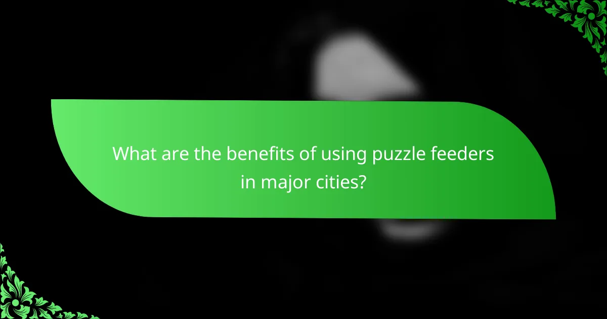 What are the benefits of using puzzle feeders in major cities?