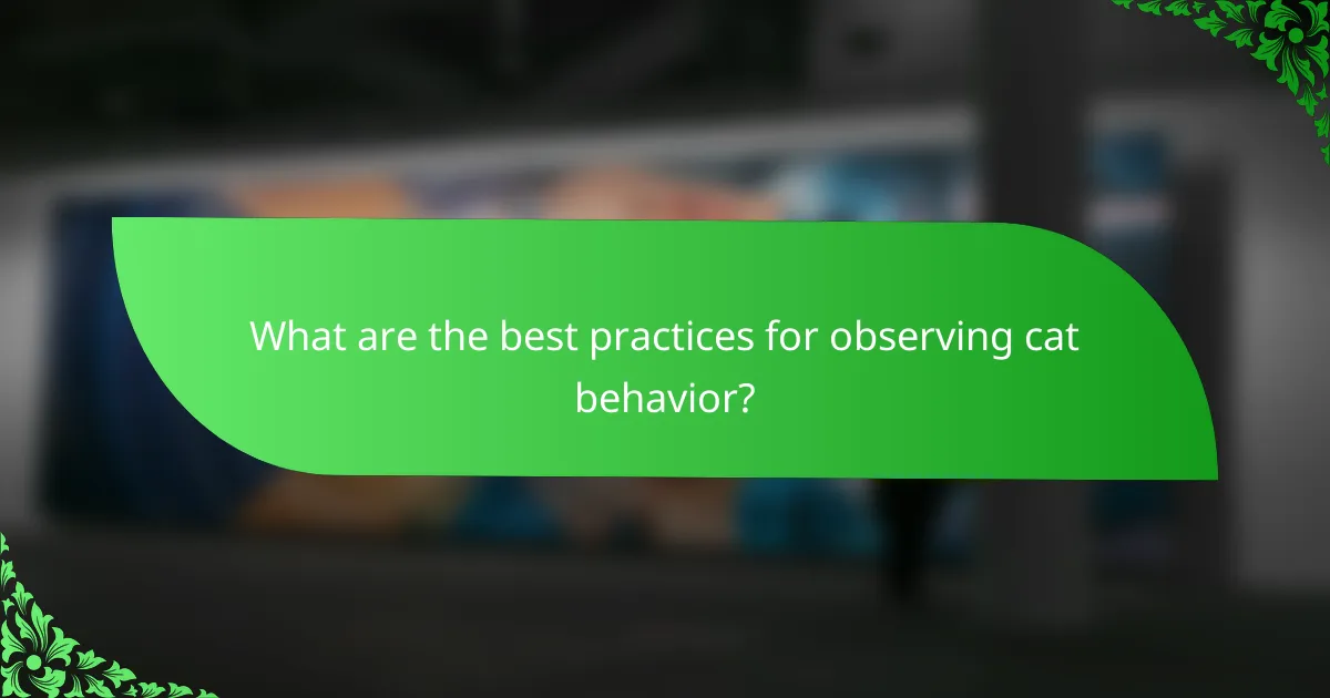 What are the best practices for observing cat behavior?