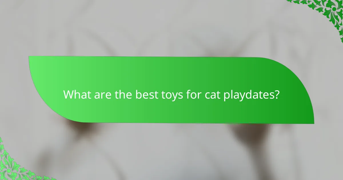 What are the best toys for cat playdates?