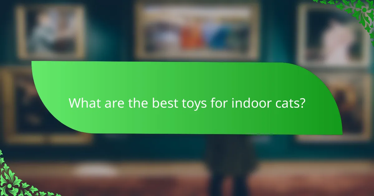 What are the best toys for indoor cats?