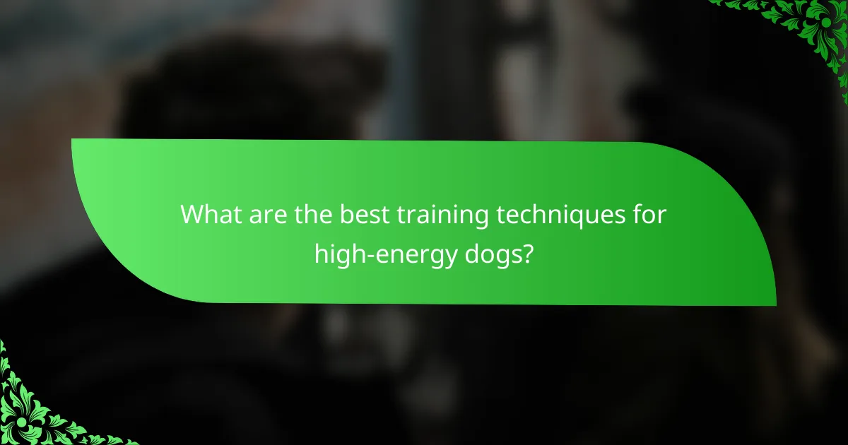 What are the best training techniques for high-energy dogs?