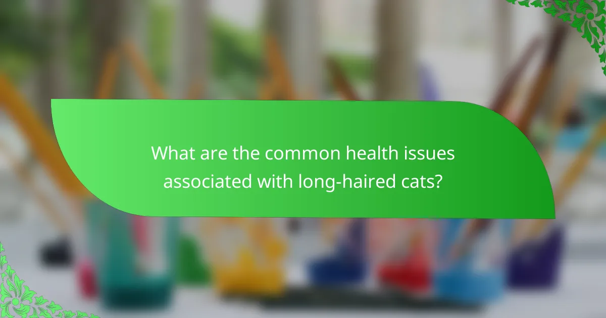 What are the common health issues associated with long-haired cats?