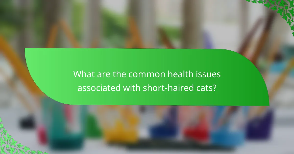 What are the common health issues associated with short-haired cats?