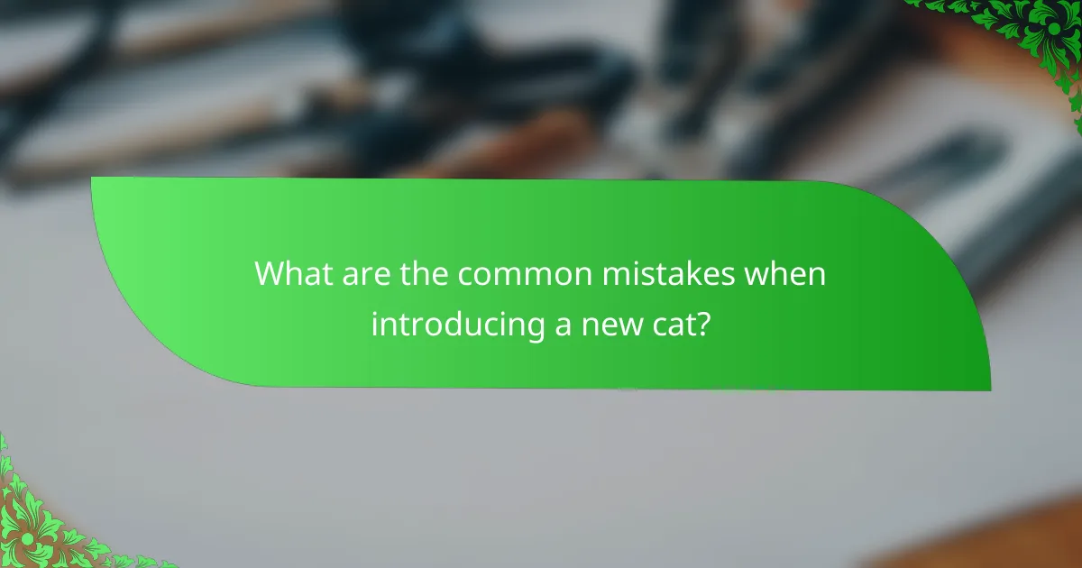 What are the common mistakes when introducing a new cat?