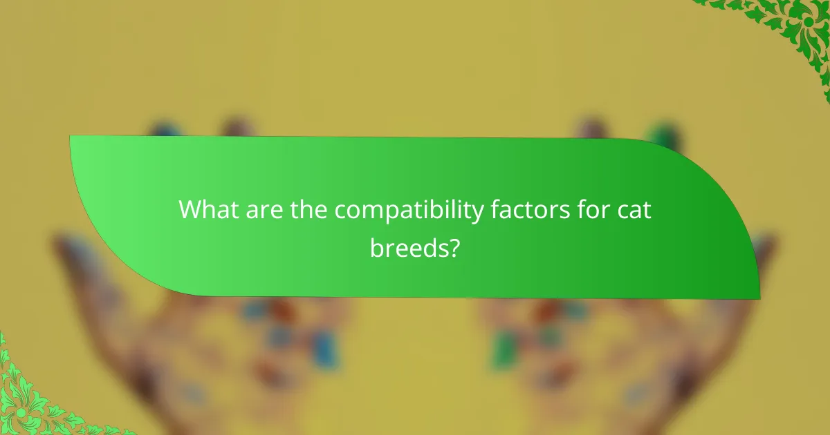What are the compatibility factors for cat breeds?
