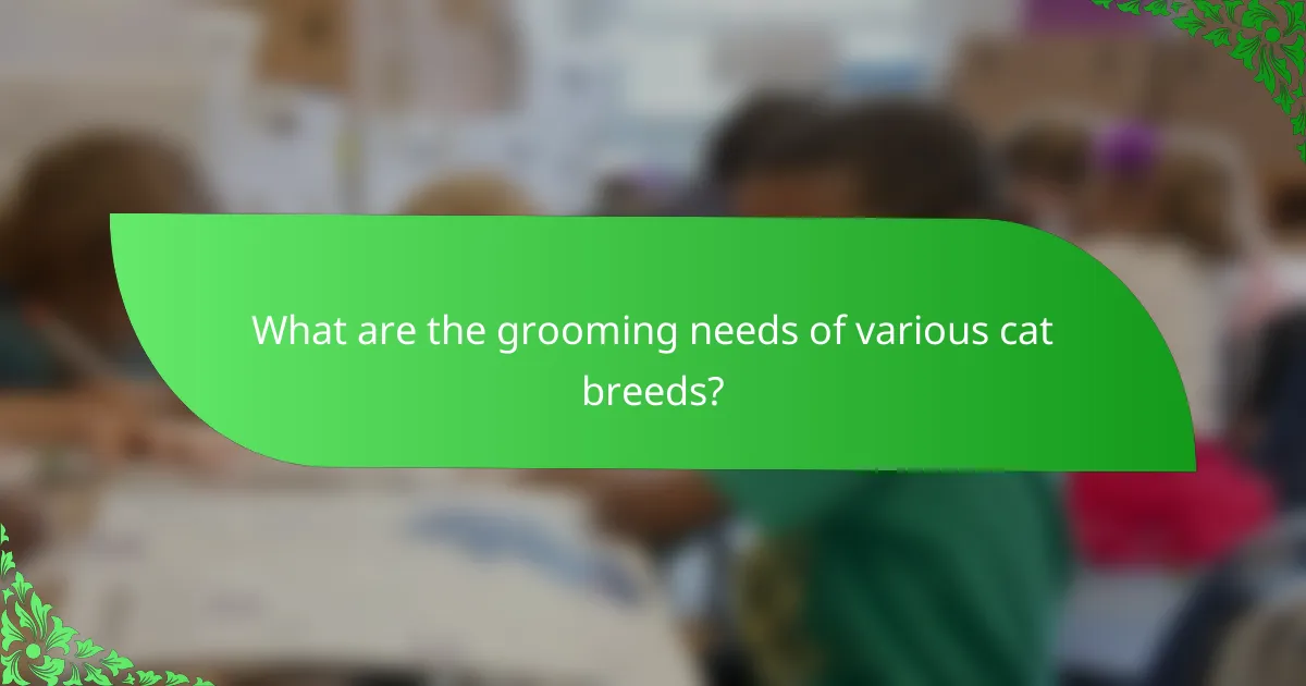What are the grooming needs of various cat breeds?