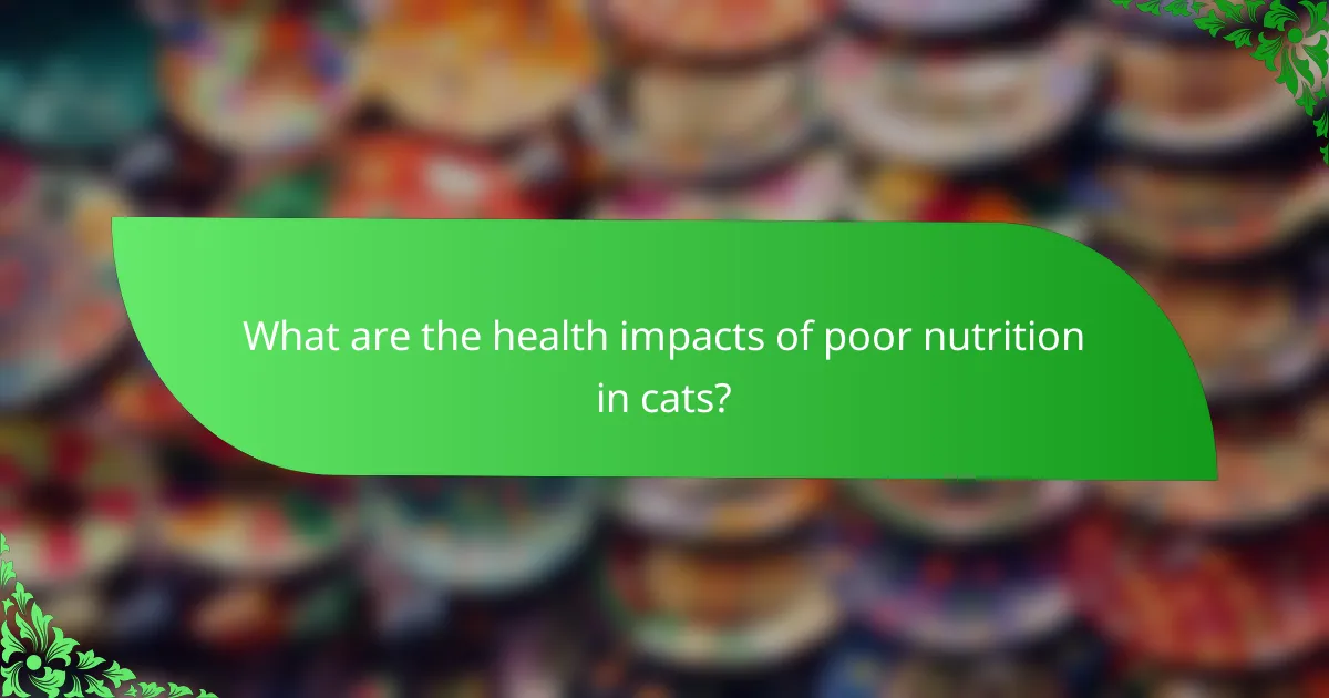 What are the health impacts of poor nutrition in cats?