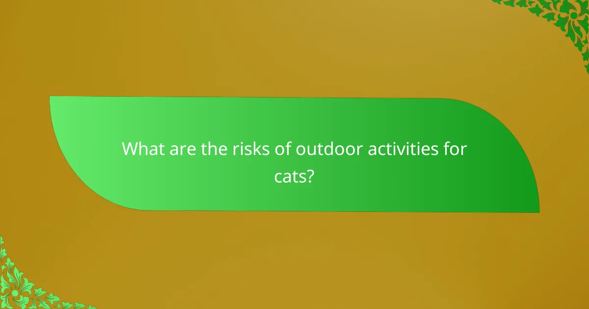 What are the risks of outdoor activities for cats?