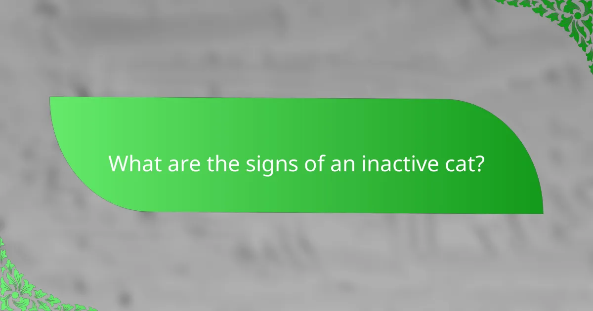 What are the signs of an inactive cat?