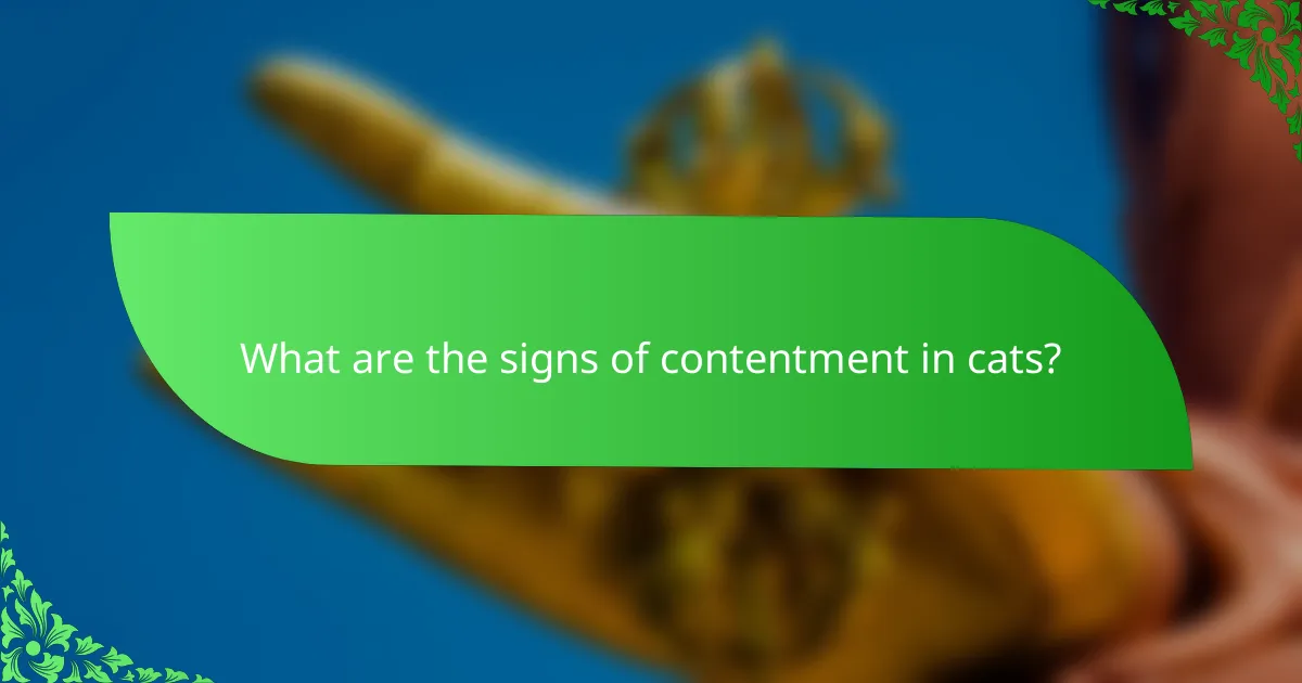 What are the signs of contentment in cats?